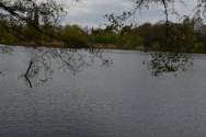 Schäfersee