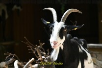  (Bild: Natalia Siedler)