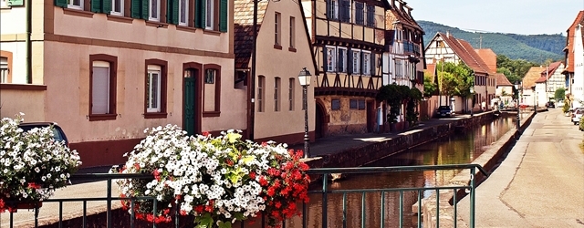 Die Lauter