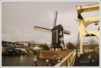 Spuren nach Rembrandt in Leiden