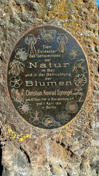 Ein Besuch im botanischen Garten Berlin